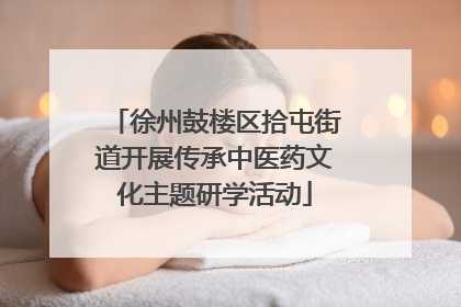 徐州鼓楼区拾屯街道开展传承中医药文化主题研学活动